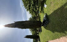 Billeder fra gæster i Il Casale