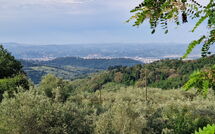 Billeder fra gæster i Florence 646