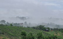 Billeder fra gæster i Pozzo dei Desideri