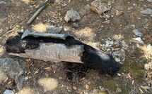 Billeder fra gæster i Von Salis