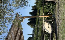 Billeder fra gæster i Greve in Chianti 651