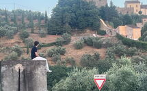 Billeder fra gæster i Pier