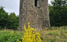 Billeder fra gæster i Villa Rosata