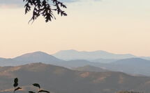 Billeder fra gæster i La Goccia