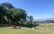 Billeder fra gæster i Villa Il Troscione