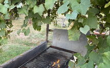 Billeder fra gæster i Podere Valcellino