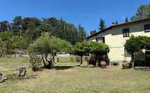 Billeder fra gæster i Podere Valcellino