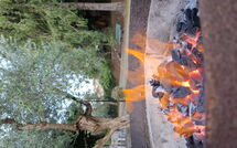 Billeder fra gæster i La Piccola Rocca