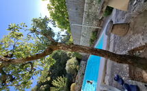 Billeder fra gæster i La Piccola Rocca