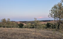 Billeder fra gæster i Fattoria le Chianacce