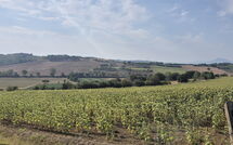 Billeder fra gæster i Fattoria le Chianacce