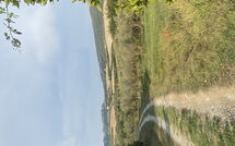 Billeder fra gæster i Cuccardino