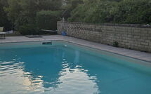 Billeder fra gæster i Casa la Primula