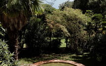 Billeder fra gæster i Castelletto Weddings and Events