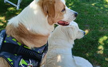 Billeder fra gæster i Villa Mira