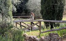 Billeder fra gæster i La Sorgente