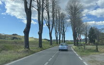 Billeder fra gæster i La Sorgente