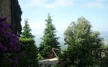 Billeder fra gæster i La Capraia