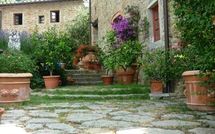 Billeder fra gæster i La Capraia