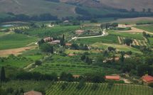 Billeder fra gæster i Podere la Marronaia