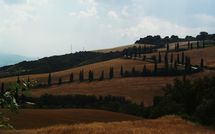 Billeder fra gæster i Podere la Marronaia