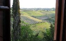 Billeder fra gæster i Certaldo