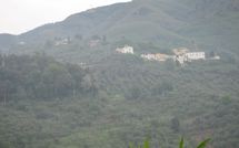 Billeder fra gæster i Podere Centone