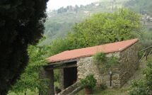 Billeder fra gæster i Podere Centone