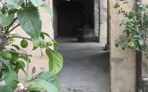 Billeder fra gæster i Podere Centone