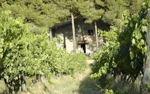 Billeder fra gæster i Montescalari