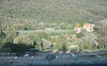 Billeder fra gæster i Montescalari