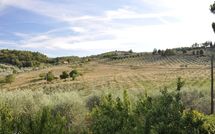 Billeder fra gæster i Montescalari