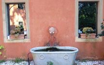 Billeder fra gæster i Villa Oleandri