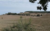 Billeder fra gæster i Casali Dell Osteria