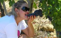 Billeder fra gæster i Podere Il Doccio