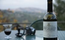 Billeder fra gæster i Torre del Cielo