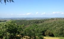 Billeder fra gæster i Villa Isabella