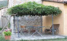 Billeder fra gæster i Casa la Primula