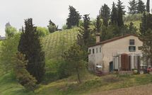 Billeder fra gæster i Borgo Tollena