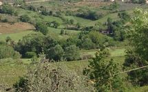 Billeder fra gæster i Agriturismo Paterno