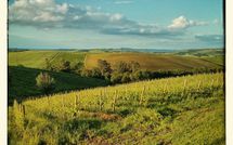 Billeder fra gæster i Villa San Filippo