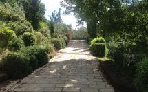 Billeder fra gæster i Le Rondini