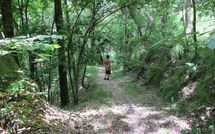 Billeder fra gæster i Il Palazzetto