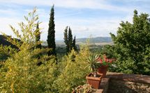 Billeder fra gæster i Le Pergole