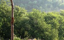 Billeder fra gæster i Fattoria Buonconvento