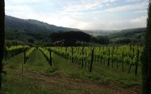 Billeder fra gæster i Montescalari