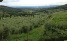 Billeder fra gæster i Montescalari