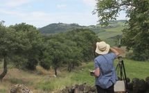 Billeder fra gæster i Fonte All'Oppio