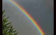 Billeder fra gæster i Limoni