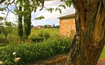 Billeder fra gæster i Agriturismo la Papessa